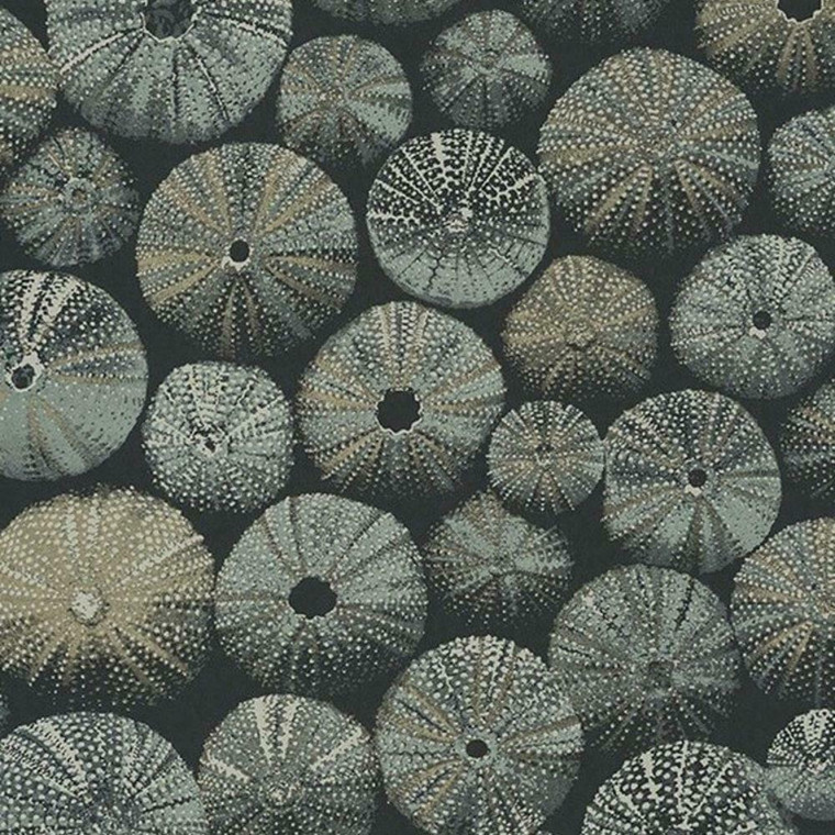 84537333 - Encyclopedia2 Sea Urchins Green Casadeco Wallpaper