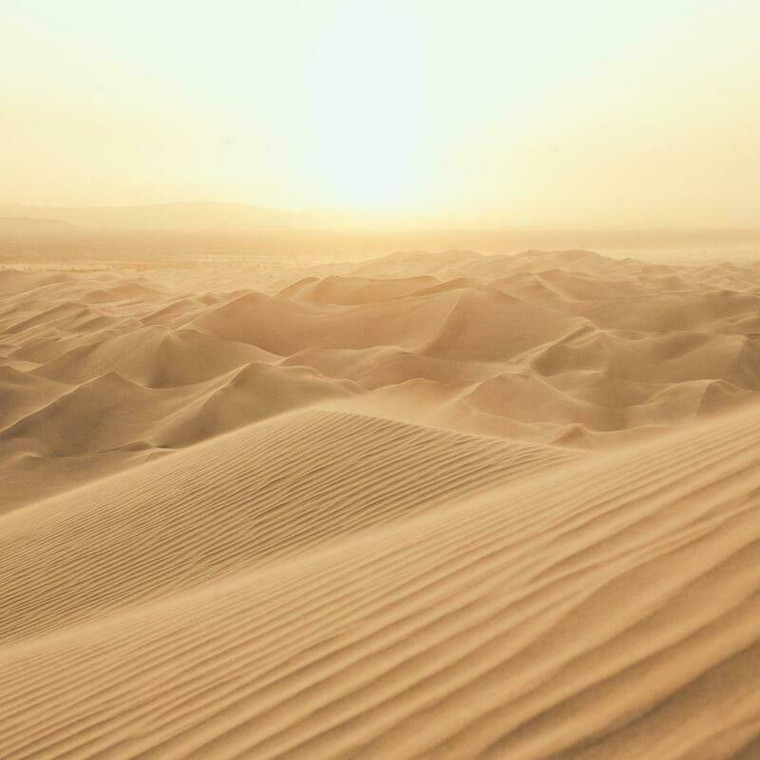 Galerie G78423 - Atmosphere Sand Dunes Sand Dune Galerie Wallpaper Mural roll - luxury design for UK feature walls