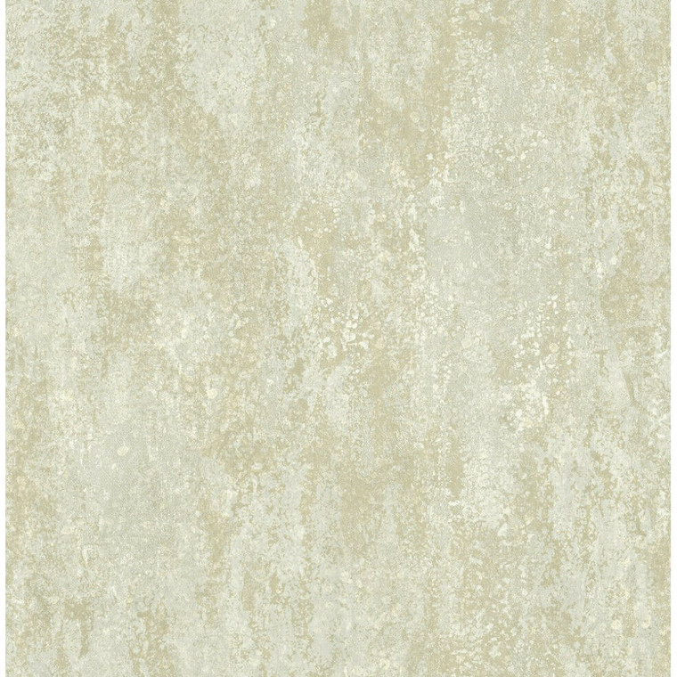 NH21108 - Brockhall Rustic texture Gilver SJ Dixons Wallpaper