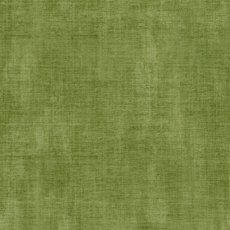 18585 - Into the Wild Textured Plain Green Galerie Wallpaper