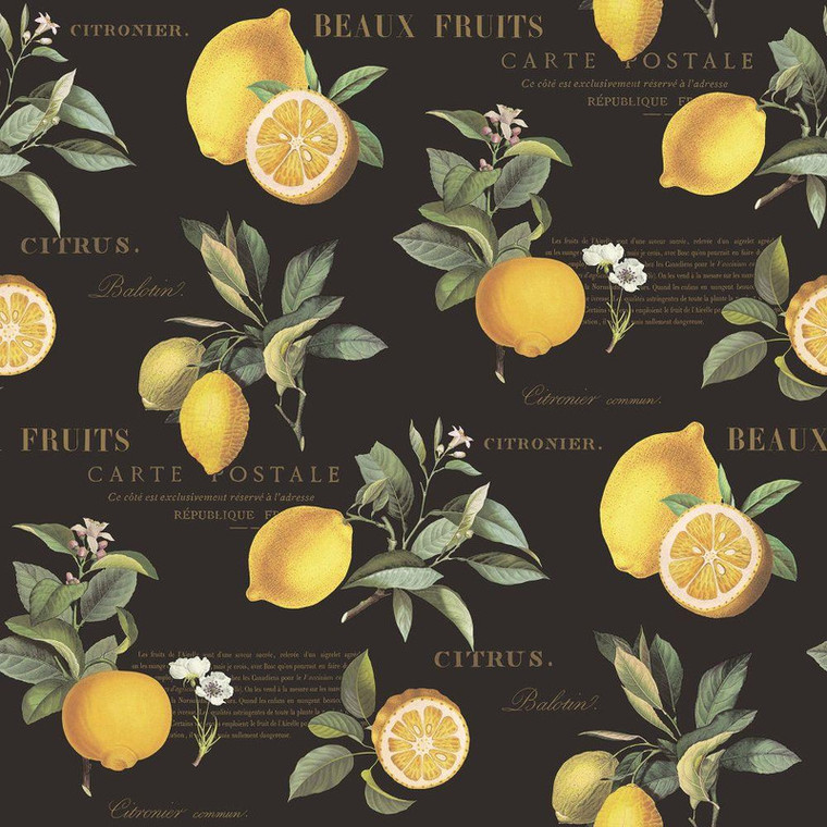 G45411 - Just Kitchens Citron Botanical Black Yellow Galerie Wallpaper