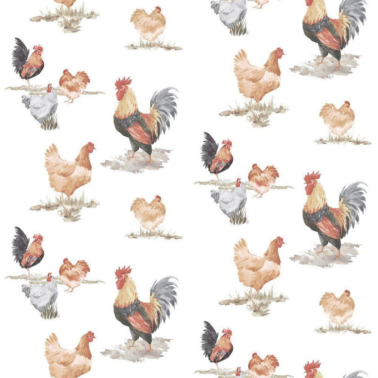 Galerie G45415 - Just Kitchens Free Range Black Red Beige Galerie Wallpaper roll - luxury design for UK feature walls