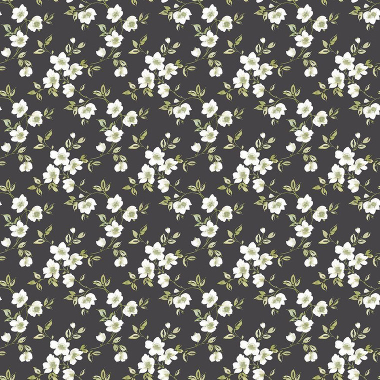Galerie G78480 - Secret Garden Anenome Mini Black choke, green, taupe Galerie Wallpaper roll - luxury design for UK feature walls