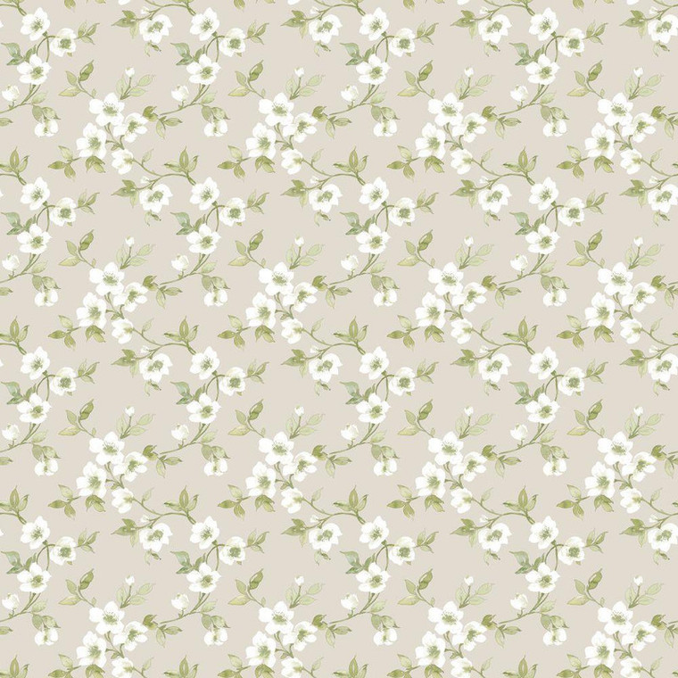 Galerie G78488 - Secret Garden Anenome Mini Taupe choke, greens Galerie Wallpaper roll - luxury design for UK feature walls