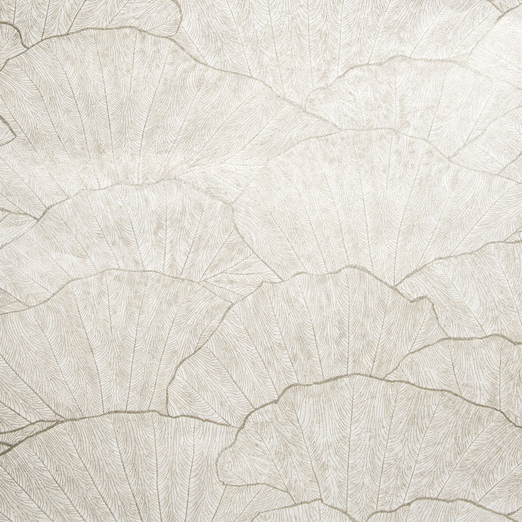 Galerie 65004 - Feel Seashell Old White Galerie Wallpaper roll - luxury design for UK feature walls