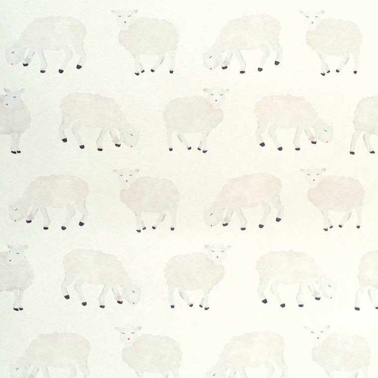 26826 - Great Kids Sweet Sheep White Galerie Wallpaper