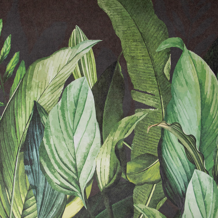 18002 - Tropical Tropical Forest Blackberry Galerie Wallpaper Mural