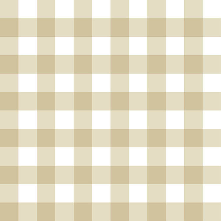 12377 - Little Explorers 2 Check Plaid Yellow Galerie Wallpaper