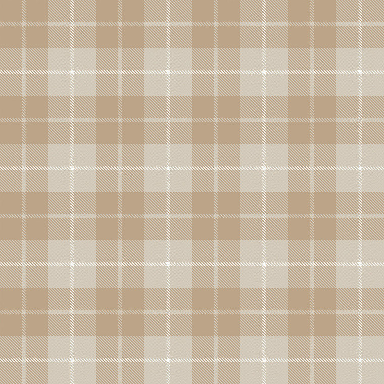 14872 - Little Explorers 2 Twilled Tartan Beige Galerie Wallpaper