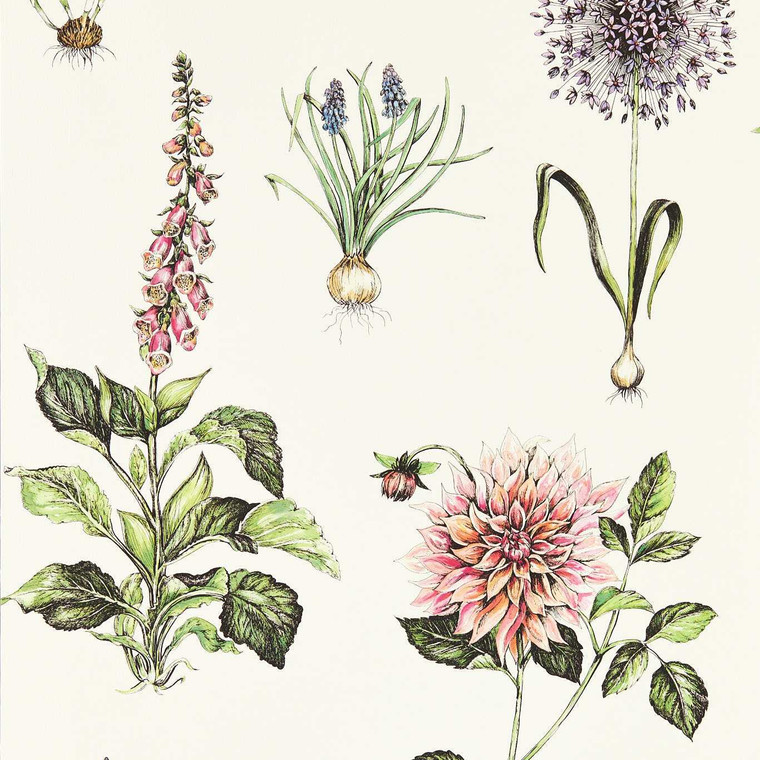 W0197-05 - Secret Garden  Contemporary Floral Multi Clarke & Clarke Wallpaper