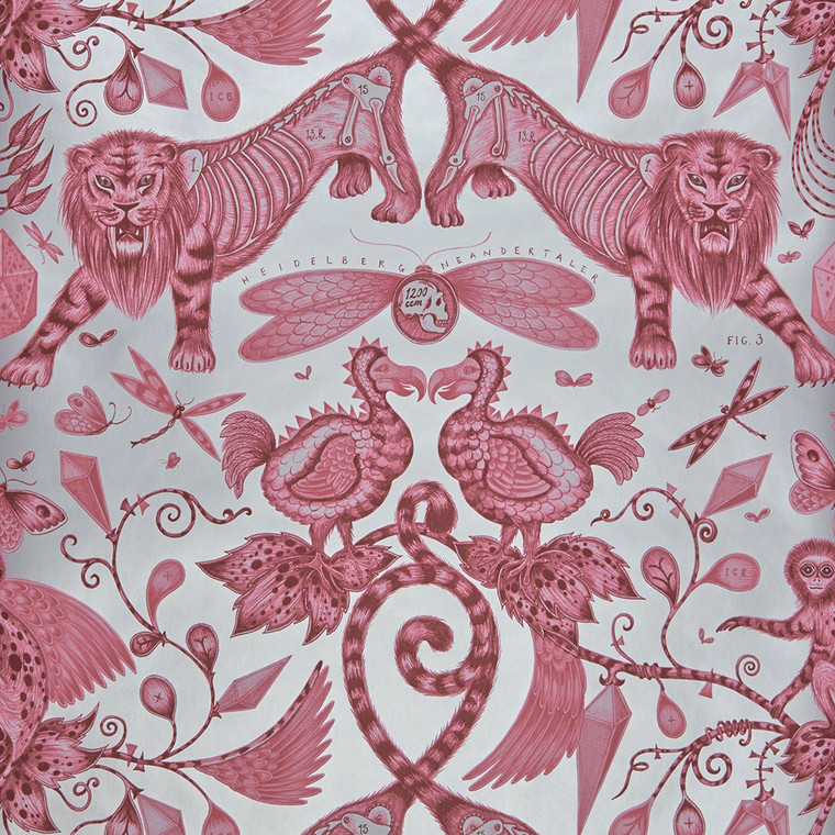 W0100-03 - Animalia  Abstract & Graphic Pink Clarke & Clarke Wallpaper