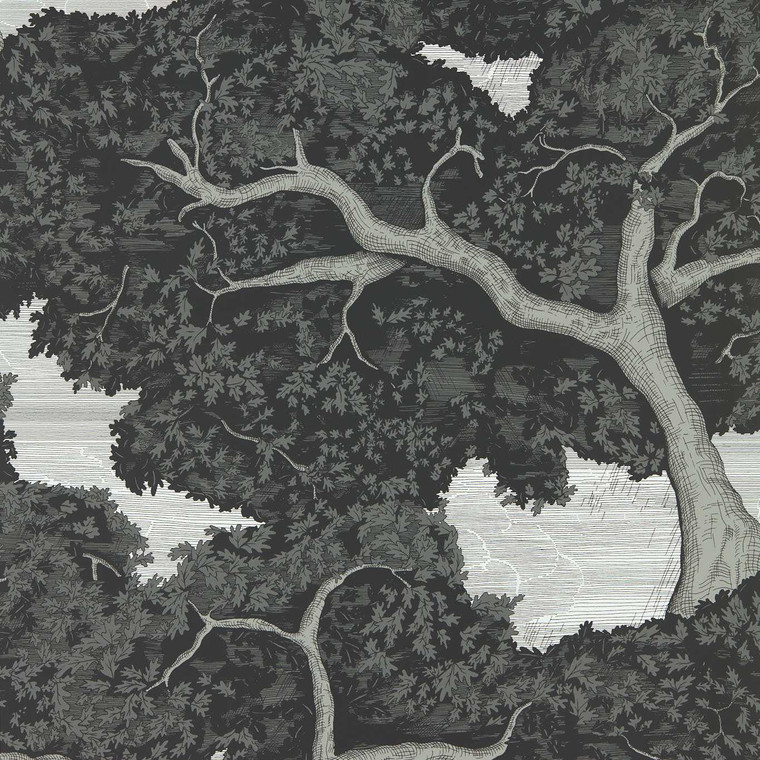 113040 - Colour 4  Botanical Black Harlequin Wallpaper