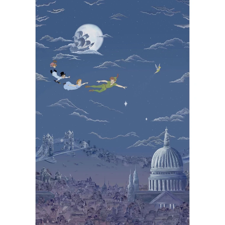 Sanderson DDIW217293 - Disney Home X Sanderson Kids Blue Sanderson Wallpaper Mural roll - luxury design for UK feature walls