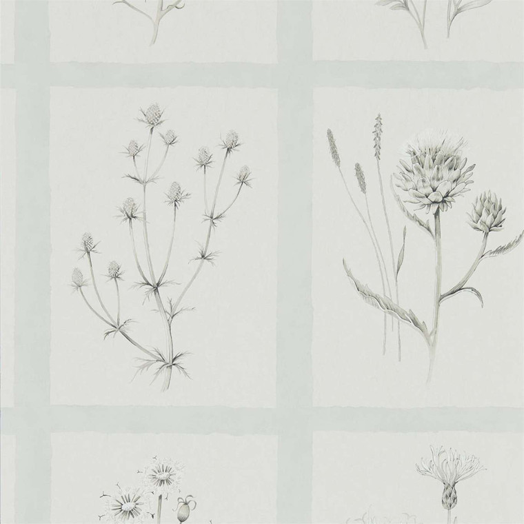 DEBB216513 - Embleton Bay  Botanical Blue Sanderson Wallpaper