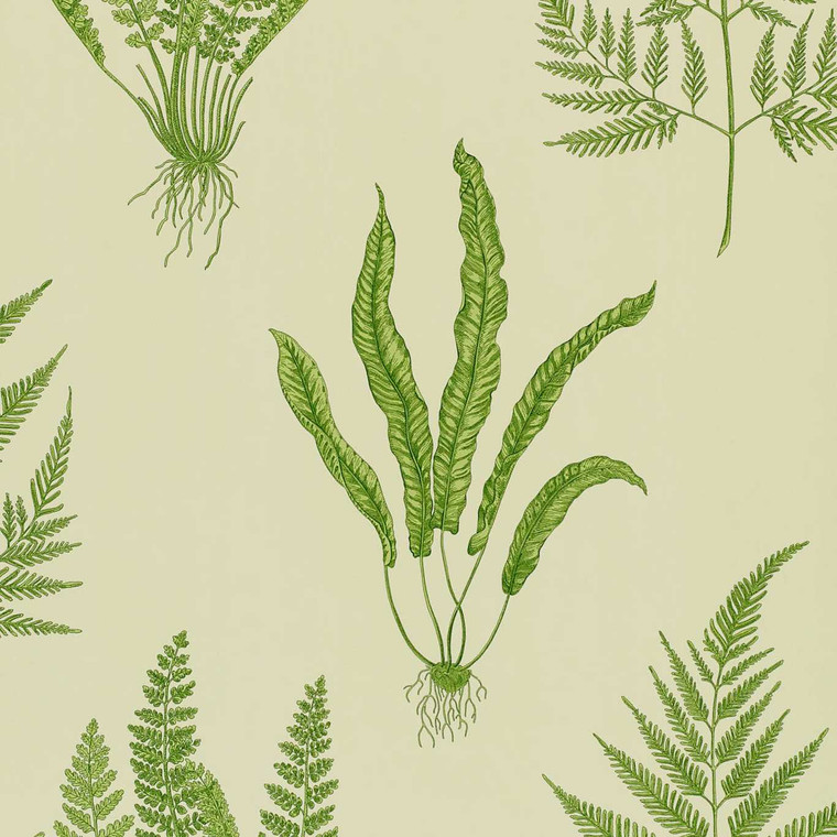 Sanderson DAPGWO102 - Sanderson One Sixty Botanical Green Sanderson Wallpaper roll - luxury design for UK feature walls
