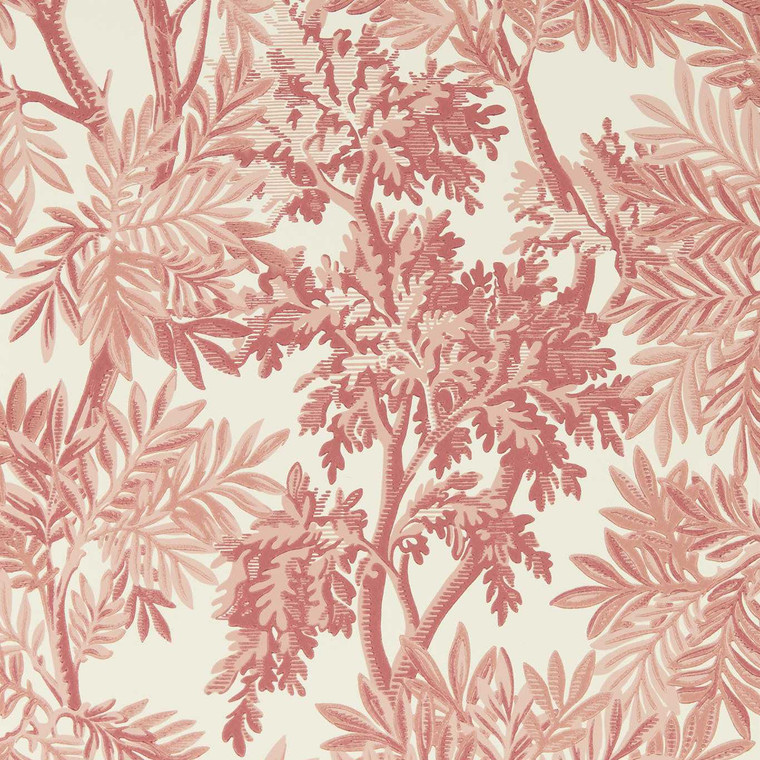 Sanderson DSAB217415 - Country Woodland Botanical Neutral Sanderson Wallpaper roll - luxury design for UK feature walls