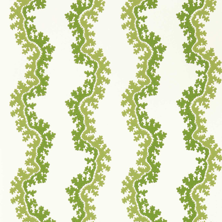 DABW217251 - Arboretum  Abstract & Graphic Green Sanderson Wallpaper