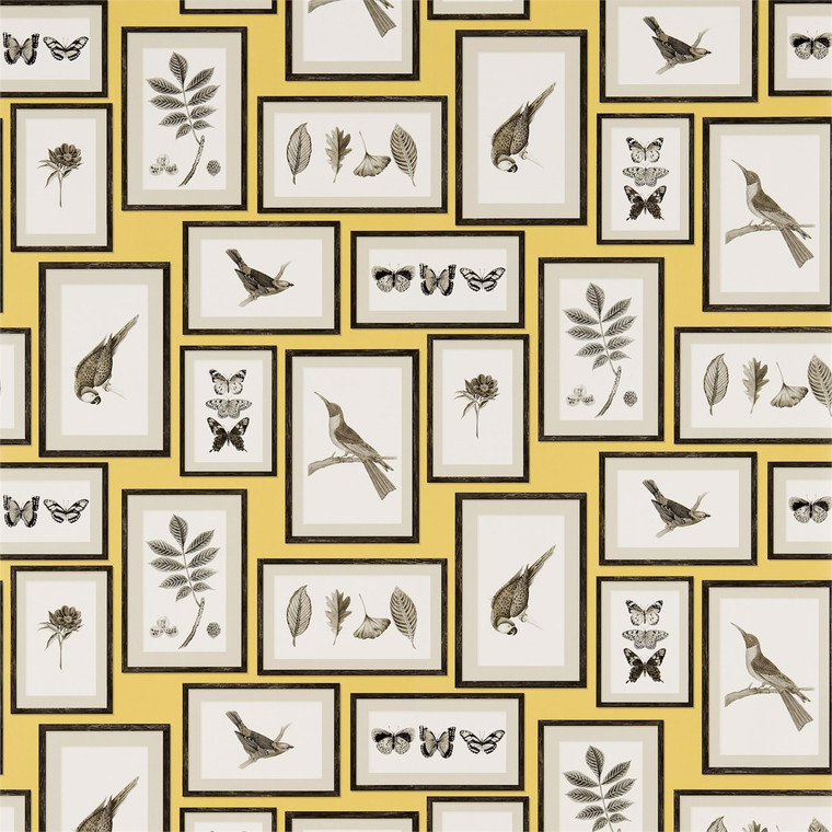 DVOY213396 - Voyage of Discovery  Birds Yellow Sanderson Wallpaper