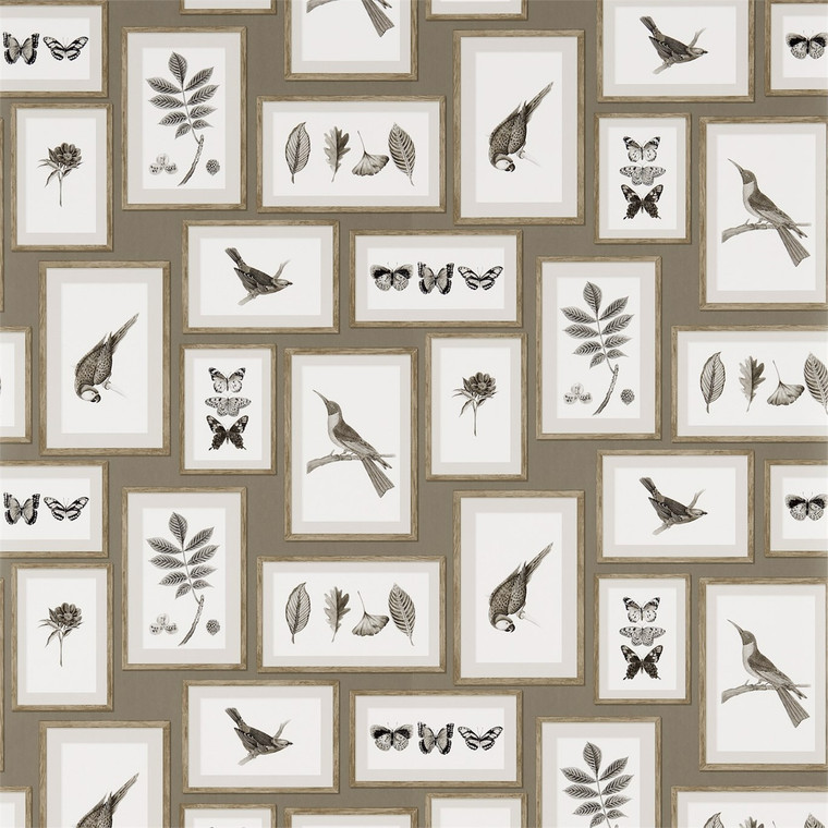 DVOY213397 - Voyage of Discovery  Birds Brown Sanderson Wallpaper