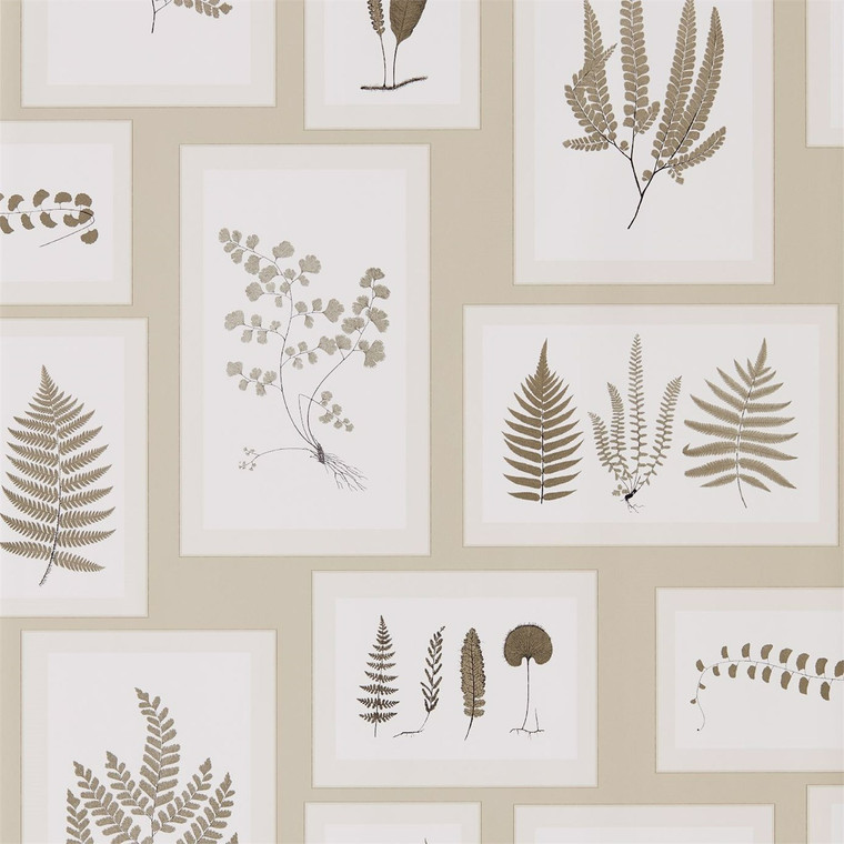 DWOW215714 - Woodland Walk  Leaves & Trees Neutral Sanderson Wallpaper