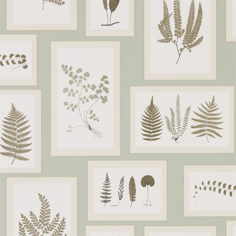 DWOW215715 - Woodland Walk  Leaves & Trees Blue Sanderson Wallpaper