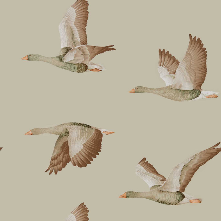 DYSI216609 - Elysian  Birds Neutral Sanderson Wallpaper