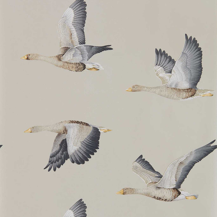 DYSI216611 - Elysian  Birds Metallic Sanderson Wallpaper