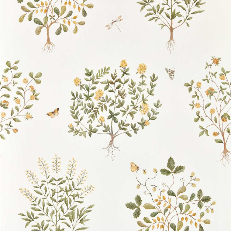 Sanderson DHIP217508 - Highgrove by Sanderson Botanical Green Sanderson Wallpaper roll - luxury design for UK feature walls