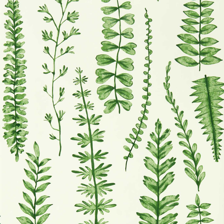 NART112798 - Garden of Eden  Botanical Green Scion Wallpaper