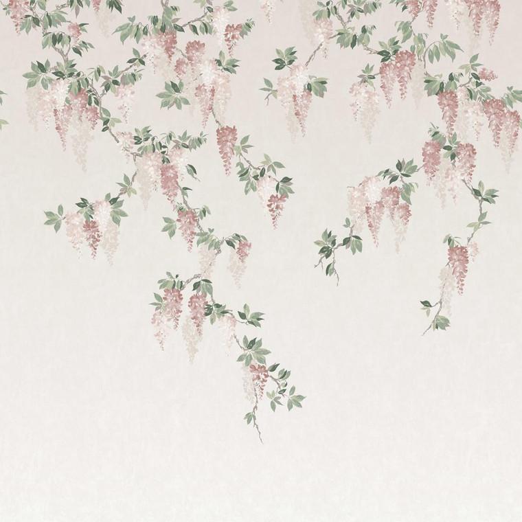 MN50939_Ashdown Multicoloured Trailing Wisteria Floral Fine Decor Wallpaper Mural