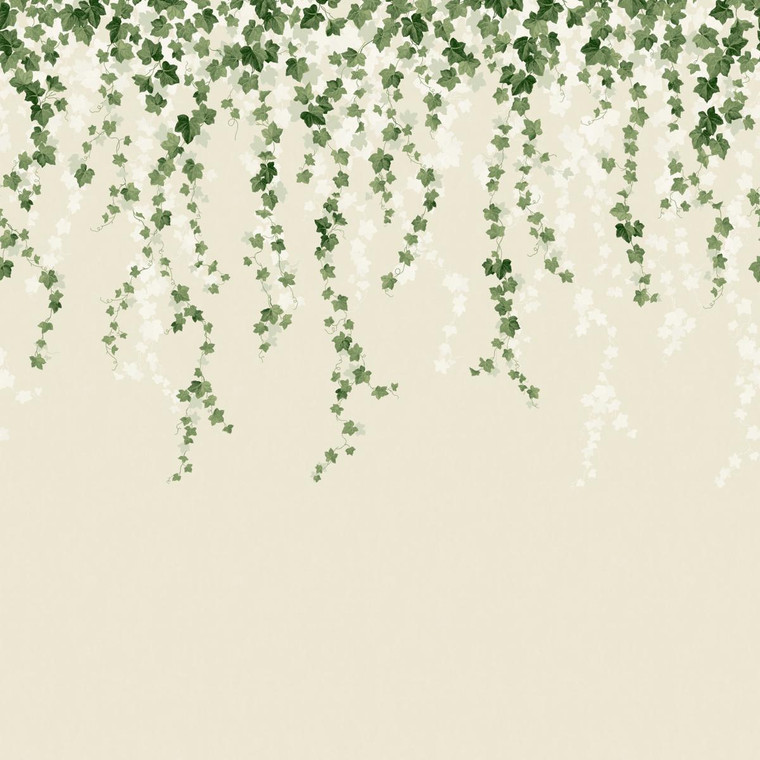 MN50942_Ashdown Green, Olive, White Trailing Ivy  Fine Decor Wallpaper Mural