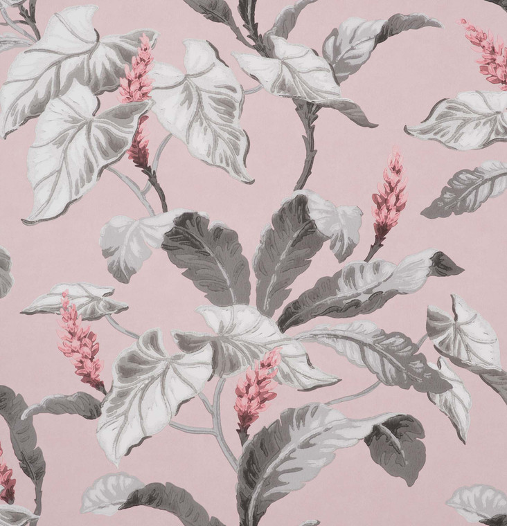 M1690_Crown Tropical, Foliage, Large Pink Grey Blush Fine Decor Wallpaper