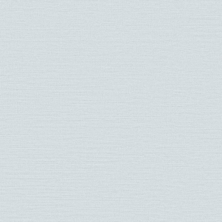 DC30098-Designer Colours Plain Texture Blue Galerie Wallpaper
