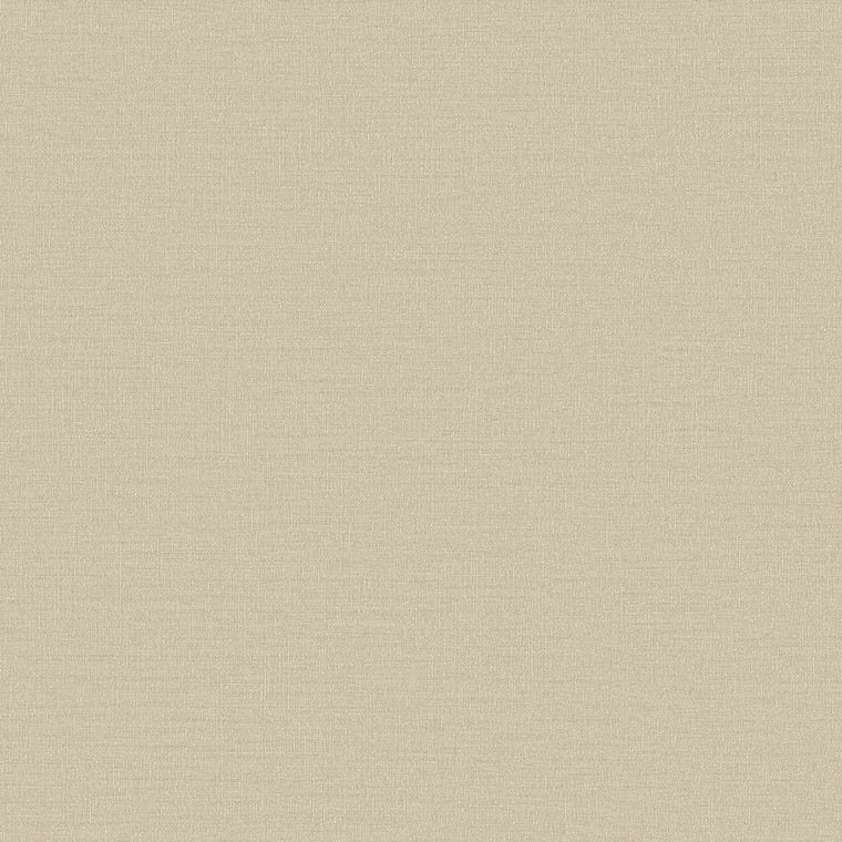 DC30117-Designer Colours Plain Texture Beige Galerie Wallpaper
