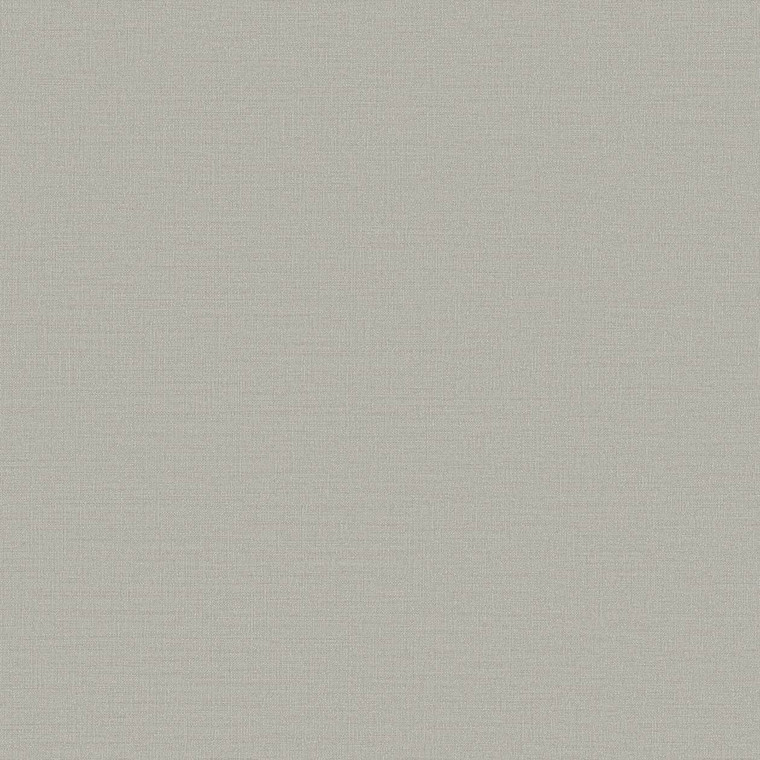 DC30202-Designer Colours Plain Texture Silver Grey Galerie Wallpaper
