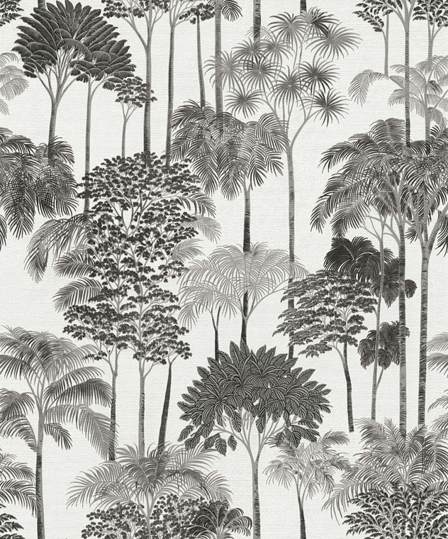 HV41085 - Havana 2 Motif Black Silver Grey Galerie Wallpaper