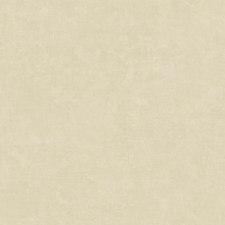 IT32480 - Italian Textures 4 Muro Congo Beige Galerie Wallpaper