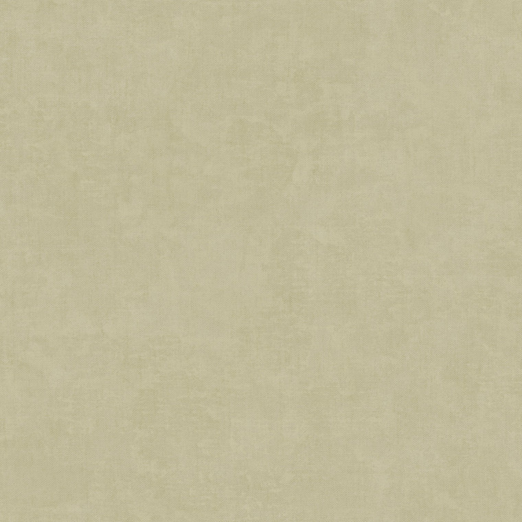 IT32482 - Italian Textures 4 Muro Congo Beige Galerie Wallpaper