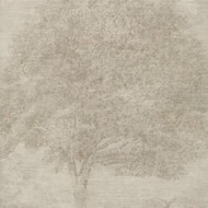 SO00934 - Soho Tree Gold Sketchtwenty3 Wallpaper