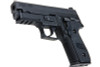 SIG Sauer P229 Green Gas Airsoft Pistol (by SIG AIR)