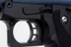 WE-Tech Hi Capa 5.1 Galaxy Type A Green Gas Airsoft Pistol - Blue Slide K Frame