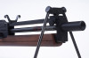 ARES WA2000