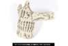 Laylax (Battle Style) Skull Face Guard (Devil Red)
