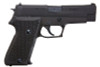 Tanaka SIG P220 HW Japan Maritime Self Defense Force Evolution Model Gun