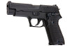 Tanaka SIG P220 HW Japan Air Self Defense Force Evolution Model Gun