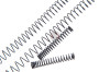 Alpha Parts Non-Liner Recoil Spring & Hammer Spring for Tokyo Marui Hi-Capa 5.1