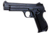 CAW SIG P210 HW Model Gun