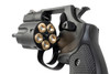 Tanaka S&W M36 Performance Center Model Gun (Ver. 2, Heavyweight) - 2 inch