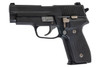 Tanaka SIG P228 'M11' Evolution 2 All Heavy Weight Model Gun