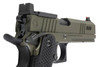 RWA Nighthawk Custom BDS9 - Cerakote OD Green